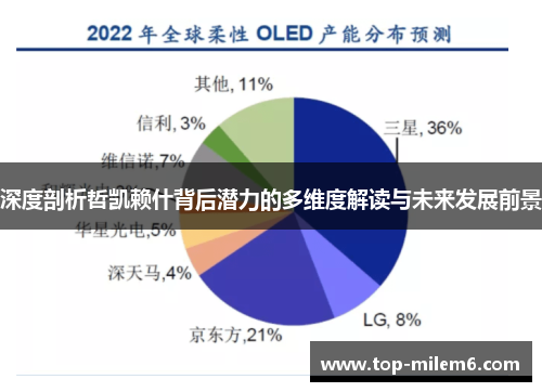 深度剖析哲凯赖什背后潜力的多维度解读与未来发展前景